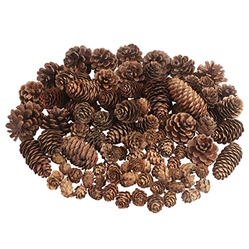 100 pezzi pigne natale - 100,