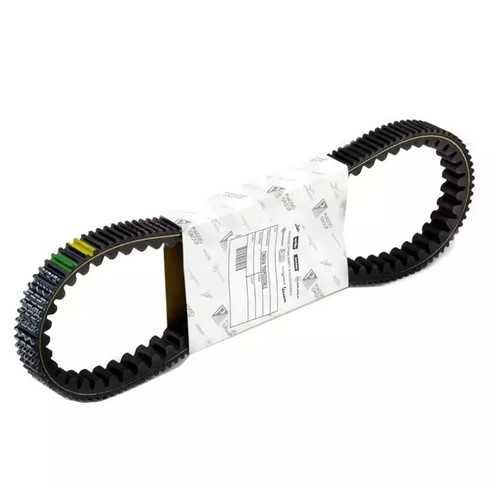 Cinghia trasmissione originale - cinghia,