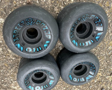 Santa Cruz Speed Skateboard