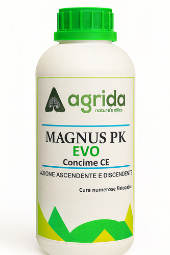 Magnus evo concime pk - pk,