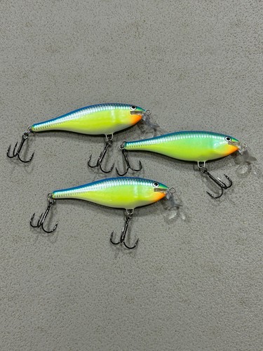 Lotto esche da pesca - lotto,