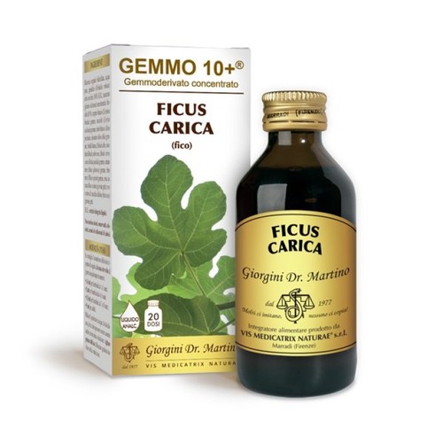 Fico g10 ficus carica - ficus, dr