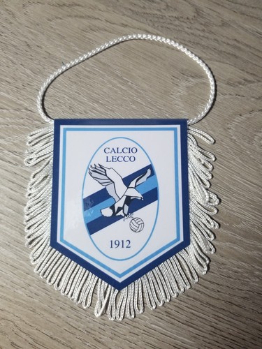 Fanion wimpel pennant - ,