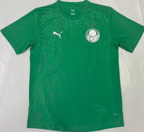 Maglia sociedade esportiva - sociedade,