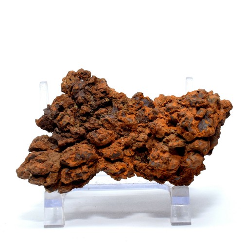 135g tartaruga sterco - 135g,