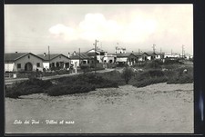 Lido dei pini - dei, pini,