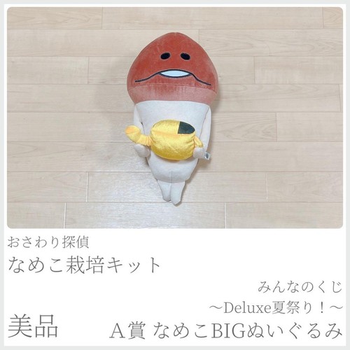 Beeworks nameko kit - nameko,