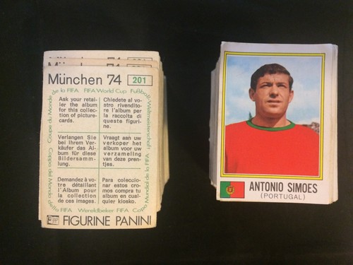Panini new - panini, (munchen