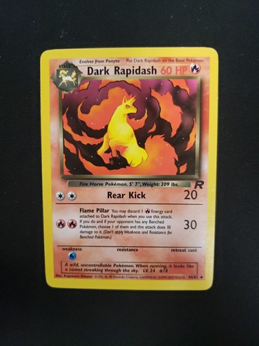 Dark rapidash team - rapidash,