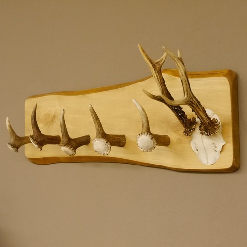 Corna guardaroba ganci - 5,