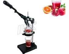 ILSA Spremi Melograno e Agrumi