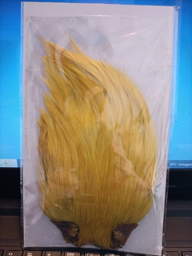 Collo gallo giallo pesca - collo,