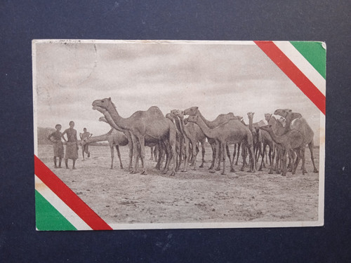 Storia postale 1936 colonia - storia,