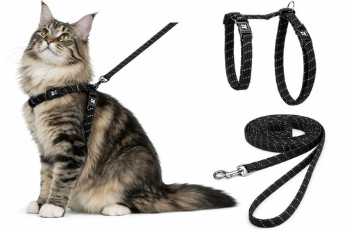 Pettorina gatto grande - -,