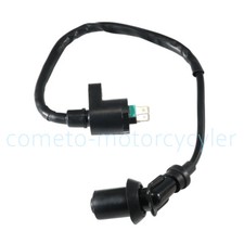 bobina accensione alta tensione per Polaris RZR OUTLAW SPORTSMAN 90 SEWTOOTH 200 QUAD