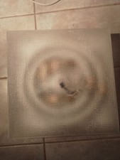 Plafoniere led da soffitto DISANO