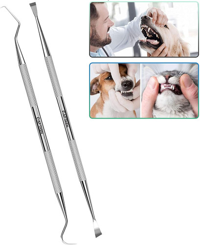 Dentista pulizia dei - dentista,