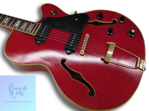 Chitarra elettrica cort - chitarra,