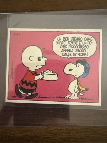 Charlie brown snoopy - brown/snoopy/red, baron