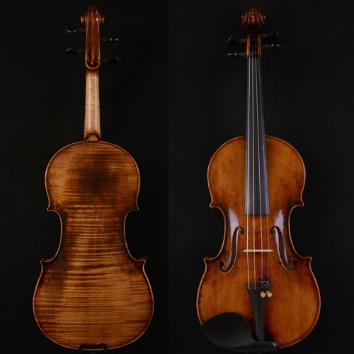 Fine master violino - master,