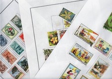 Accumulo  di 20 FOGLI CON