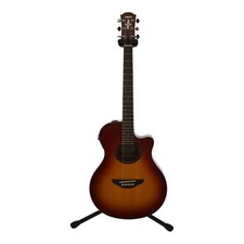 Chitarra elettrica acustica