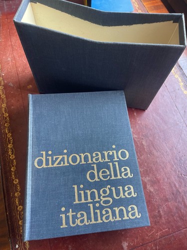 Dizionario della lingua - dizionario,