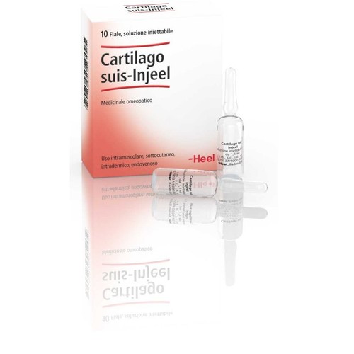 Cartilago suis injeel - cartilago,