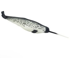Safari ltd 212202 Narvalo 26