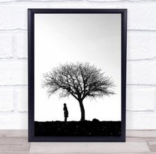 Iran Kermanshah grafica albero