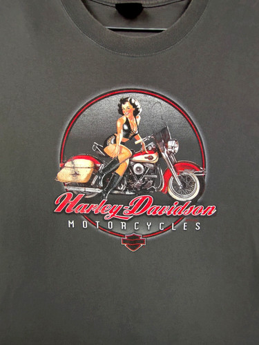 Harley davidson camicia uomo - davidson,