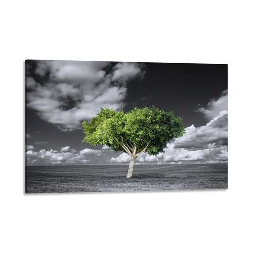 Quadro stampa tela con - su,