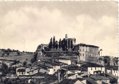 C11653 forli meldola - ,