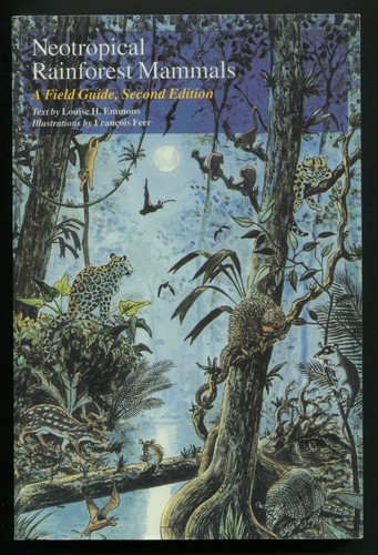 Neotropical rainforest mammals - neotropical,