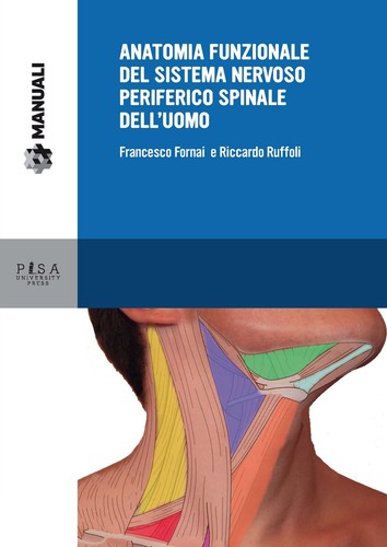 Anatomia funzionale del