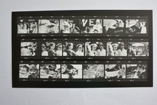 CARNEVALE MODENESE provini a