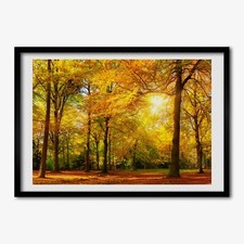 Quadro Tulup MDF incorniciato