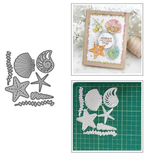 Stelle marine conchiglie - marine,