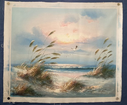 Canne dalle maree costiere - ,