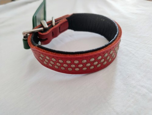 Collare cane hunter colore - cane,