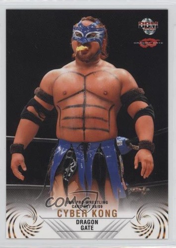 2008 bbm pro wrestling - 2008-09,