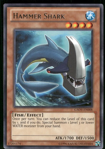 Squalo martello gaov en008 - squalo, gaov-en008