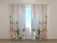 Tende Rose Color Crema