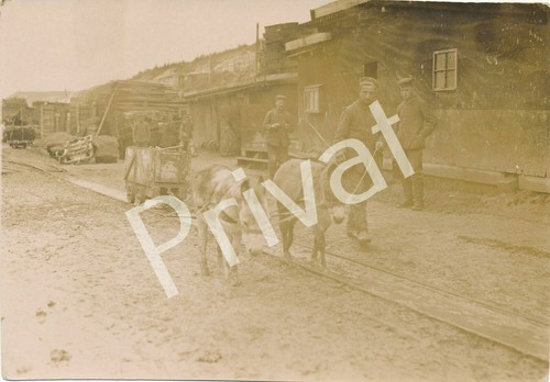 Foto soldati con asino - xl, wk