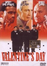 Valentine's Day (1998) DVD