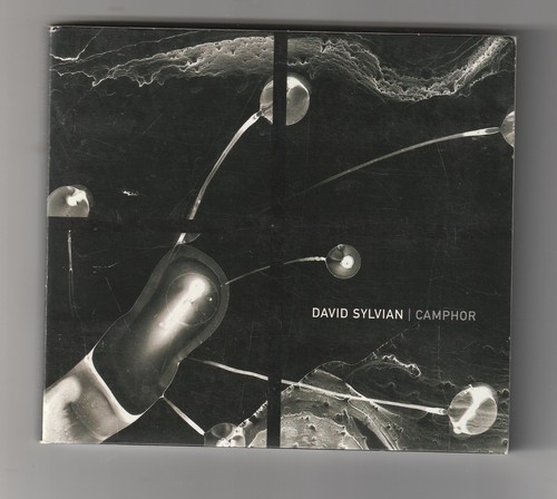David sylvian camphor - -,