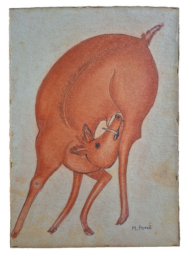 Mario porcù dipinto cinghiale - mario,