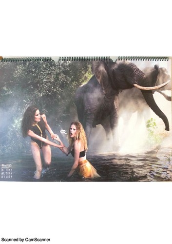 Calendario pirelli 2009 - 2009,