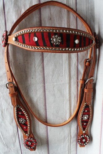 Briglia esposizione cavalli - da,