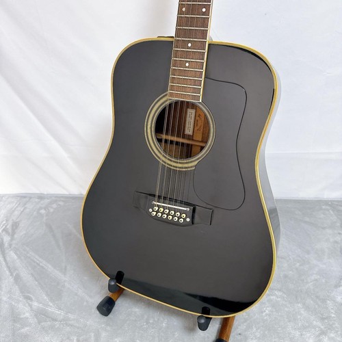 D01 takamine chitarra - d01,